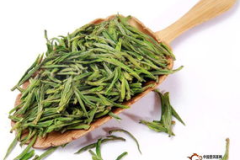 绿茶壁纸库,清新自然，品味生活之美