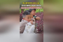 娱乐吃瓜四人组 娱乐吃瓜四人组