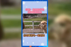 娱乐吃瓜Jerry,Jerry带你揭秘娱乐圈那些事儿 娱乐吃瓜Jerry,Jerry带你揭秘娱乐圈那些事儿