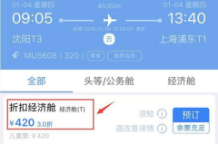 上海到沈阳特价机票,抢购攻略与航班信息汇总