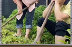 娱乐八卦 吃瓜群众,吃瓜群众揭秘明星幕后故事 娱乐八卦 吃瓜群众,吃瓜群众揭秘明星幕后故事