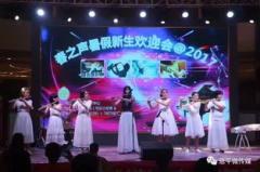 旦堡娱乐,引领潮流的娱乐新势力