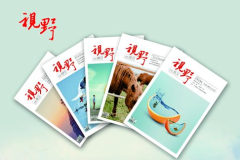 视野杂志,探索时代脉搏，引领思想潮流