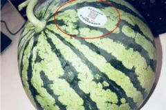 2020吃瓜网红,网络风云变幻，谁主沉浮？