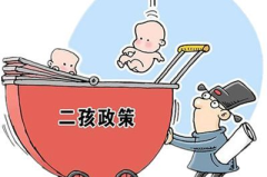 二胎政策,中国二胎政策及其影响与未来展望