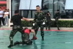 武警散打娱乐,武警散打娱乐盛宴