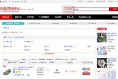 天猫分销平台,电商时代的新型商业模式解析